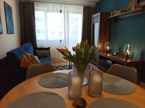 MD Apartament Lewandowskiego, Szczecin